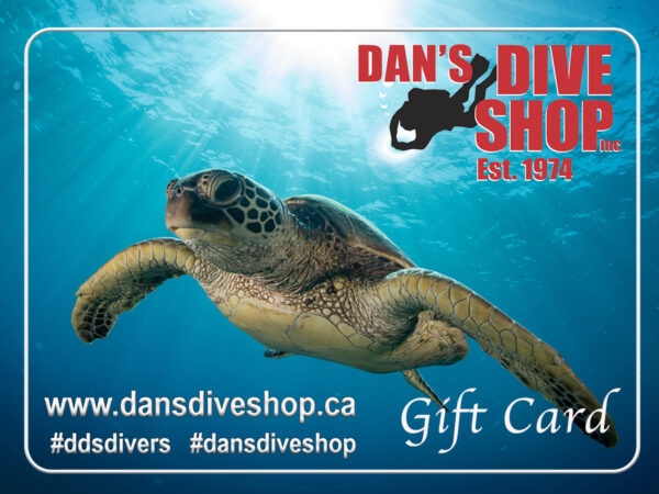 dan's dive shop gift card with a sea turtle and the dan's dive shop logo of a diver swimming out of the company name