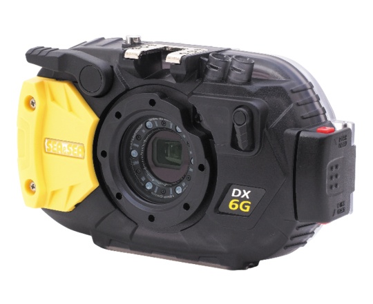 sea and sea dx-6g camera and housing
