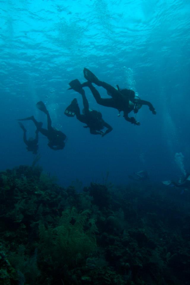 DDS Divers Swimming Over the Reef in Roatan