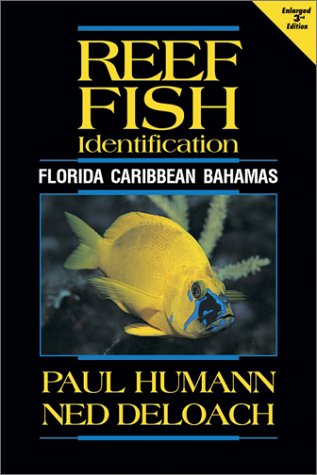reef fish identification book soft cover full colour